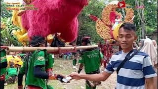 Orang Yang Salah || Sinar Galuh N.Cita 2024 || Show Ds.Dayeuh Luhur_Tempuran_Karawang