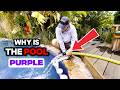 Why is this pool water PURPLE?! 😱 Solving a chemical mystery with Reverse Osmosis