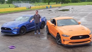 Mustang Vs. Mustang: Ford's Performance Packages Tested