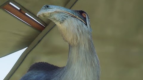 Day 367 of adding a Deinocheirus to this park until they