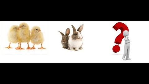 Ancient Chicken and Rabbit Problem Solved Simply