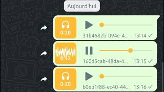 وااااا كوكوكوك واااا كوكوكوك  |  Audio WhatsApp 2022 I