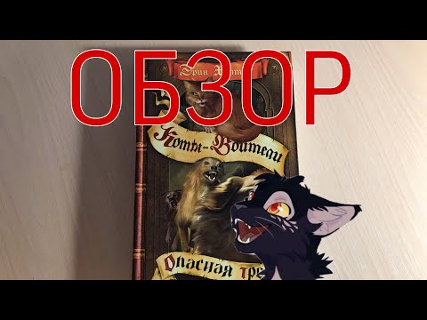 «КОТЫ-ВОИТЕЛИ»#5|Обзор «Опасная Тропа»