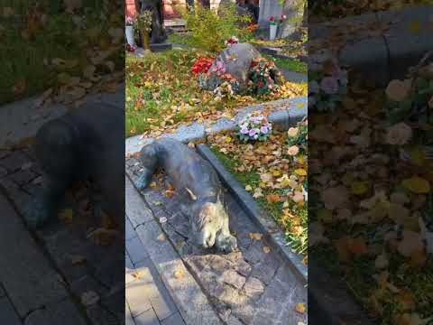 Video: Novodevičje groblje u Moskvi. Groblje Novodevichy: Grobovi slavnih