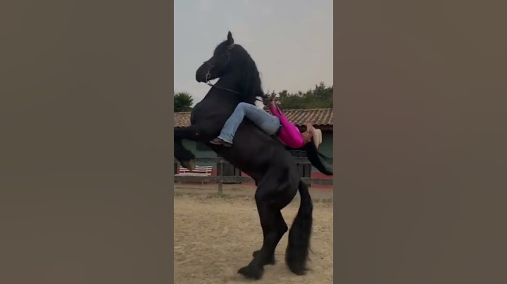 edit do cavalo da Ana Castela #anacastela #cavalo #shortsviral