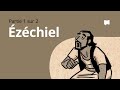 Zchiel133  synthse