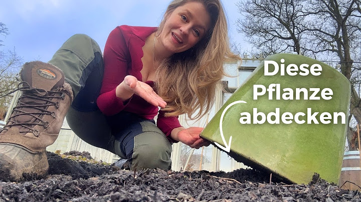 Gardening tasks in March