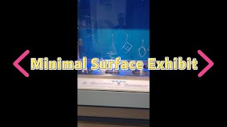 Minimal Surface Lab Math Exhibit | Explore Geometry via Soap Film Experiment & Visualization