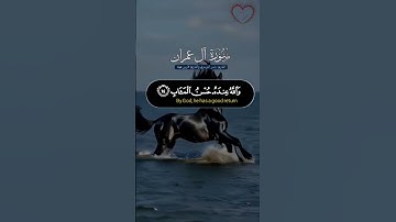 #القرآن_الكريم #تلاوة_خاشعة #سورة_آل_عمران #القارئين#ياسر_الدوسري و#القارئ #فارس_عباد #اكسبلور