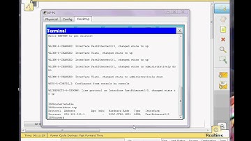 5 3 3 3 Using the Cisco IOS Show commands