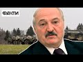 Білорусь розмістить "цілий контингент білоруської армії" на кордоні з Україною - причина