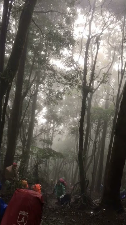 Story Whatsapp Pendaki Gunung / Masih Menunggu /
