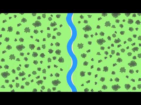 Why Do Rivers