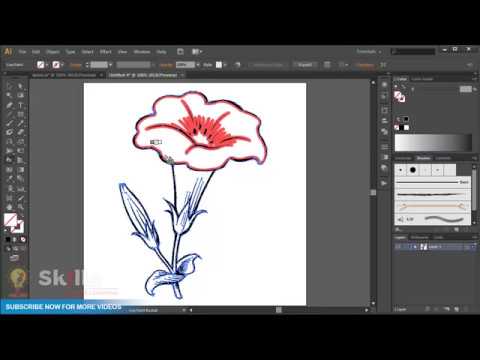 tracing option adobe illustrator 2015