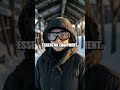 Antarctic Outpost Winds of Resilience