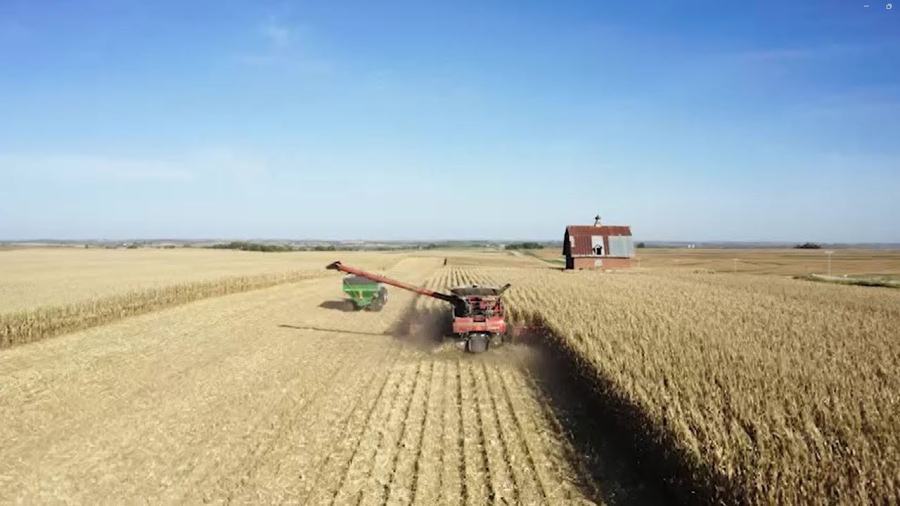 This Week in Agribusiness - Nov 2, 2024 - YouTube