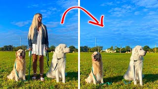 DOGS REACT TO HUMAN DISAPPEARING (Will they behave?)