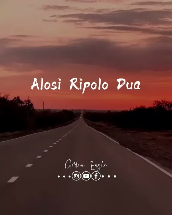Status WA |√ Alosi Ripolo Dua |√ Bugis Bone 2020 |√ Video 41dtk