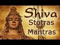 Vedic chants  shiva stotras and mantras  shivratri special