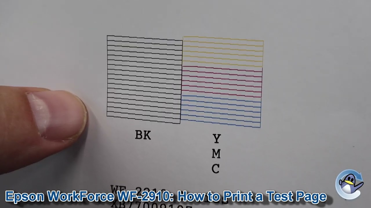 Epson WorkForce WF-2910: How to Print a Nozzle Check Test Page