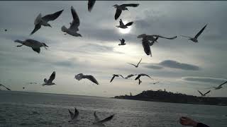 ELİF KAYA- SARI GELİN(istanbulun en güzel görüntüleri eşliğinde)