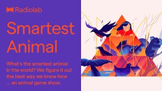 The World's Smartest Animal | Radiolab Podcast