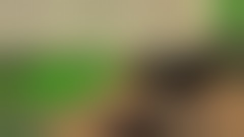 unturned people at there worst.(turn your volume down)