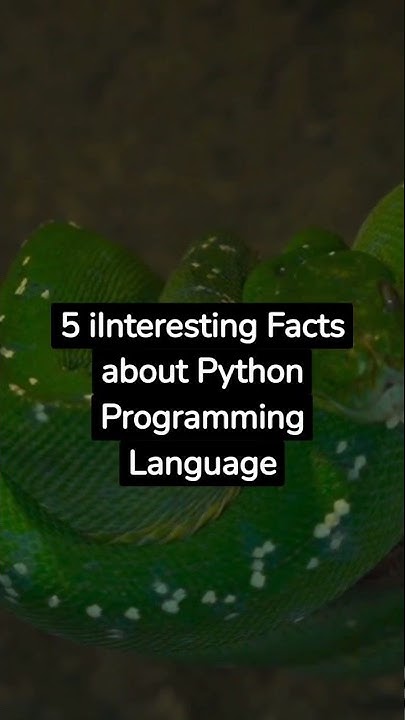 5 Amazing Facts about Python Programming Language #shortsfeed #viral # ...