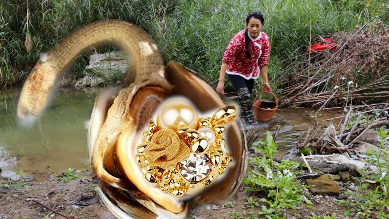 The girl discovered pearls in a giant clam and used ancient techniques to collect them
