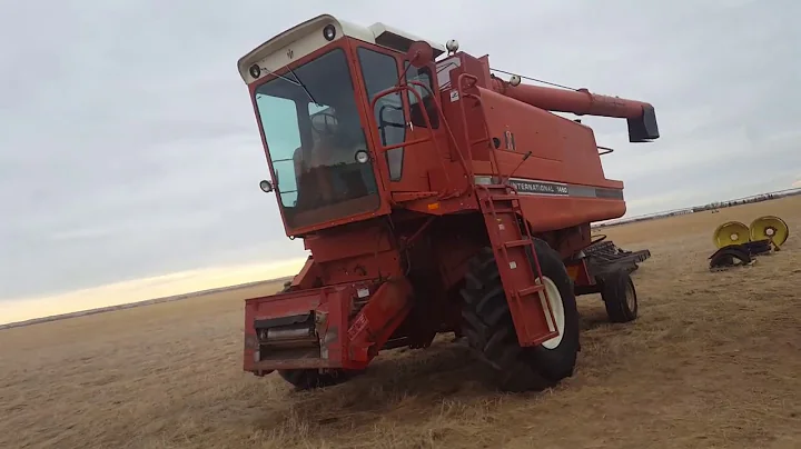 International 1460 Combine on BigIron.