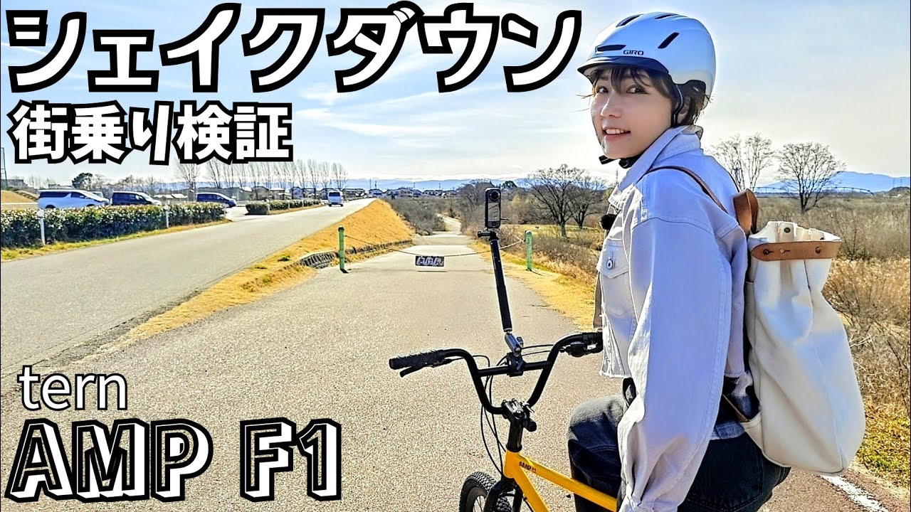 【点検済】Tern AMP F1 8速 500mm cooper AMP F1 | Tern Japan Official Site – ターン日本公式サイト