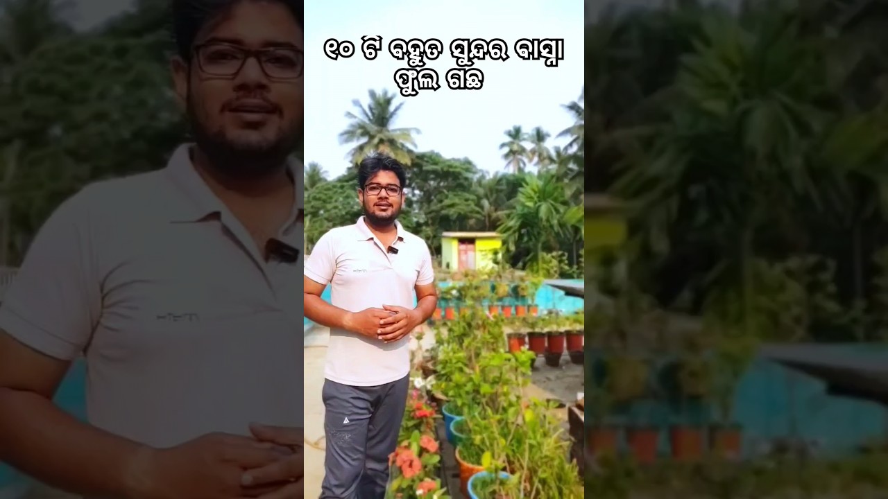 10 Most Fragrance Permanent flowering Plant || Day-5 