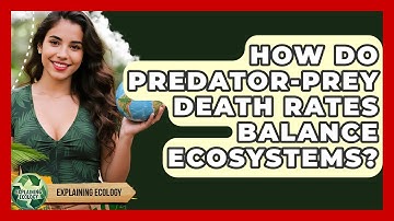 How Do Predator-prey Death Rates Balance Ecosystems? - Explaining Ecology