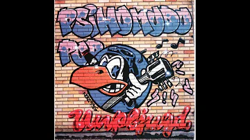 Psihomodo Pop 1995 Unpljugd FLAC