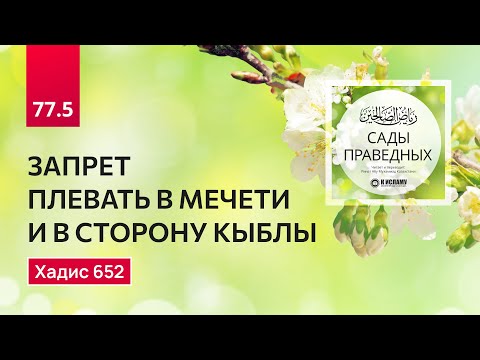 77.5 Сады праведных. ЗАПРЕТ ПЛЕВАТЬ В МЕЧЕТИ И В СТОРОНУ КЫБЛЫ. Хадис 652. Ринат Абу Мухаммад