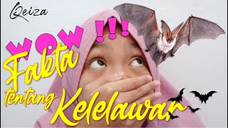 Tugas Sekolah - Fakta-fakta menarik tentang kelelawar - Video Edukasi Singkat - Video editan Qeiza