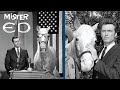 This is How Mister Ed the Talking Horse Died