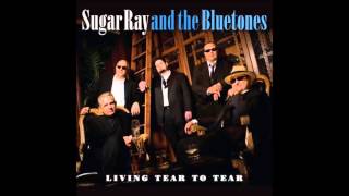 Sugar Ray and the Bluetones - Things Could Be Worse chords