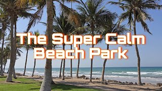 Standing Quietly in a Calm Beach Park 🌴 Ocean Breeze & Palm Trees | Relaxing 4K 60fps | LongShotLab screenshot 4