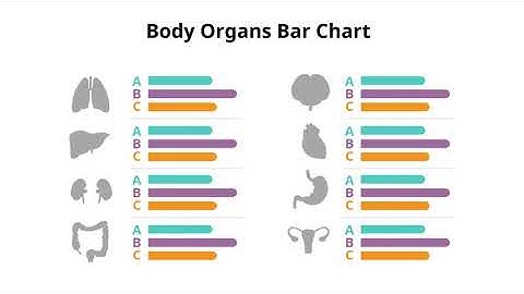 Various Types of Bar Chart Infographic Animation