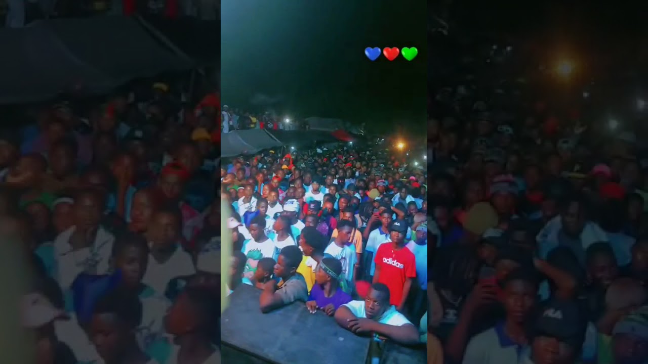 live performance pajoli loco 