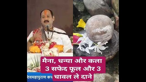 3 सफेद फूल और 3 चावल के दाने लेकर पितरों की 3 बेटियो का नाम लेकर करे यह उपाय 3 महीने में #shorts