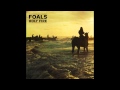 Foals milk  black spiders