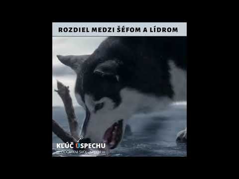 Video: Rozdiel Medzi C A C