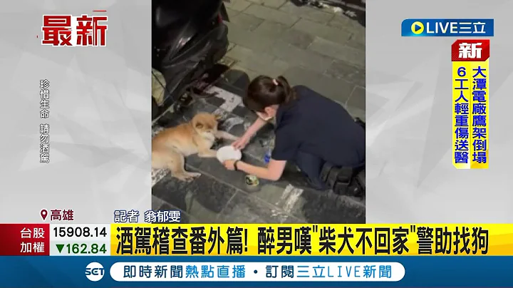 #三立最新 狗狗偷偷跑出门! 害主人酒驾出门寻找被警方稽查 警方连人带狗一起带回警局｜记者 翁郁雯｜【LIVE大现场】20220614｜三立新闻台 - 天天要闻