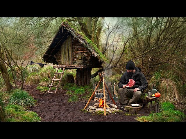 Building wood survival shelter in wildlands | Bushcraft u0026 Campfire grilled meat class=