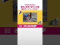 【木を1本まるごと販売!?🌲】柔軟な発想で新たな林業  美しい森林を育み、生かし、届ける「東京チェンソーズ」とは？