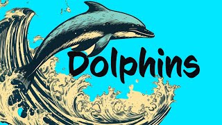 17 Dolphin FACTS to know 🐬 Animals for Kids by Socratica Kids 15,906 views 2 months ago 9 minutes, 42 seconds