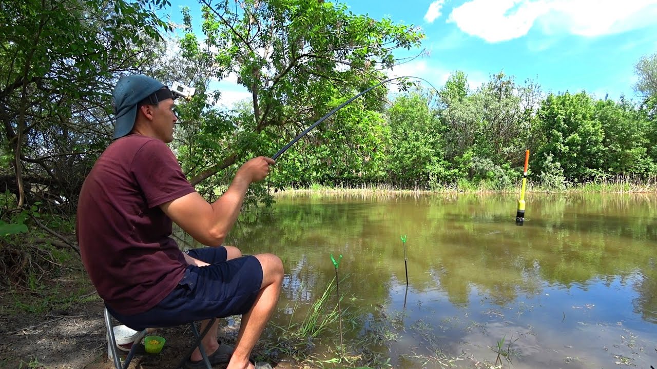 С НЕЙ БЕЗ РЫБЫ НЕ УЙДЁШЬ. КУЧА РЫБЫ ИДЁТ НА НЕРЕСТ. Весенняя рыбалка на поплавок. Поплавочная удочка