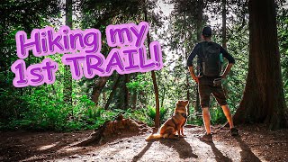 Nova Scotia Duck Tolling Retriever Exploring a Ravine | Growing Up Qweens by Growing Up Qweens 495 views 1 year ago 3 minutes, 39 seconds